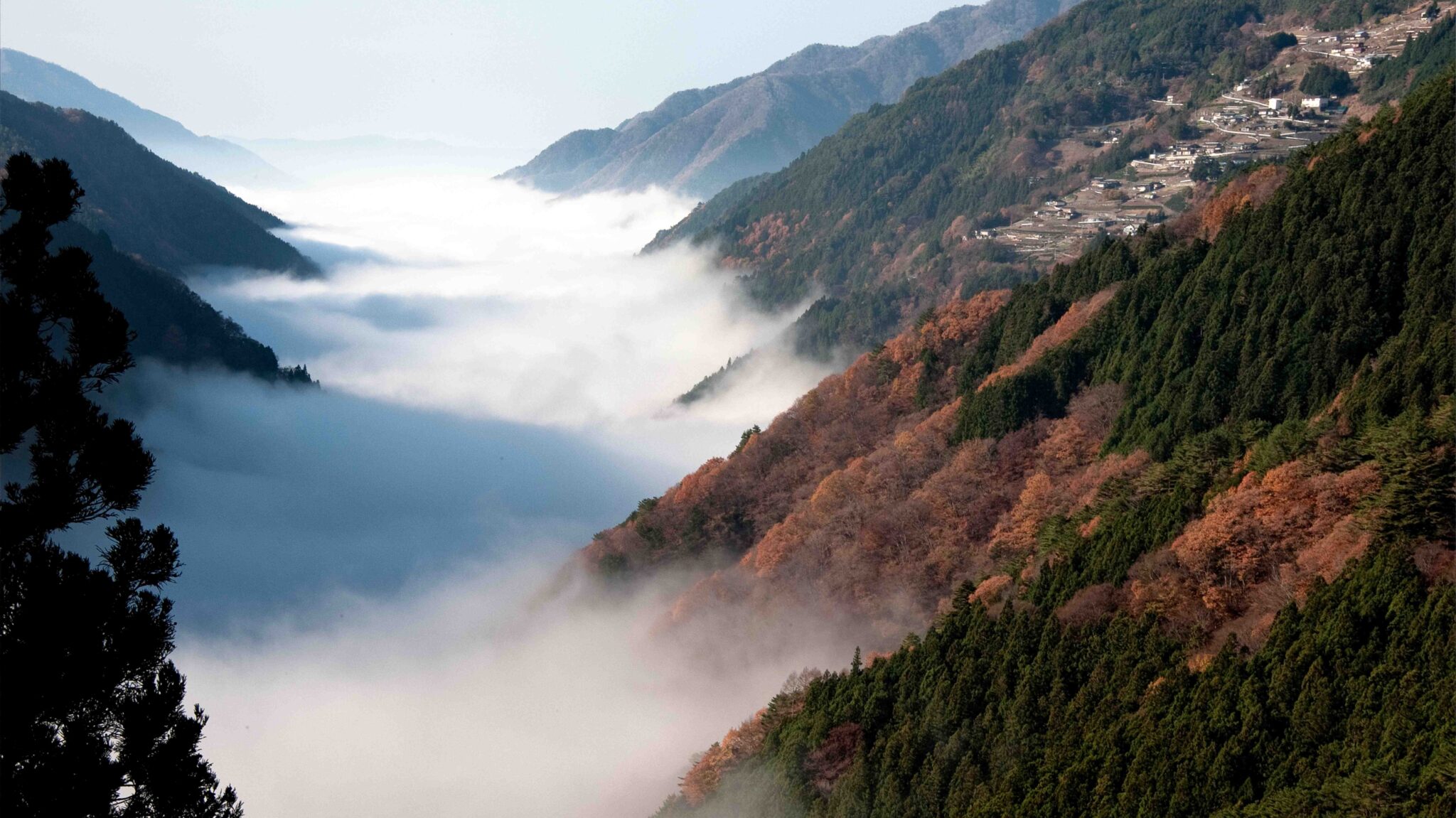 歩く楽しみ | 信州遠山郷