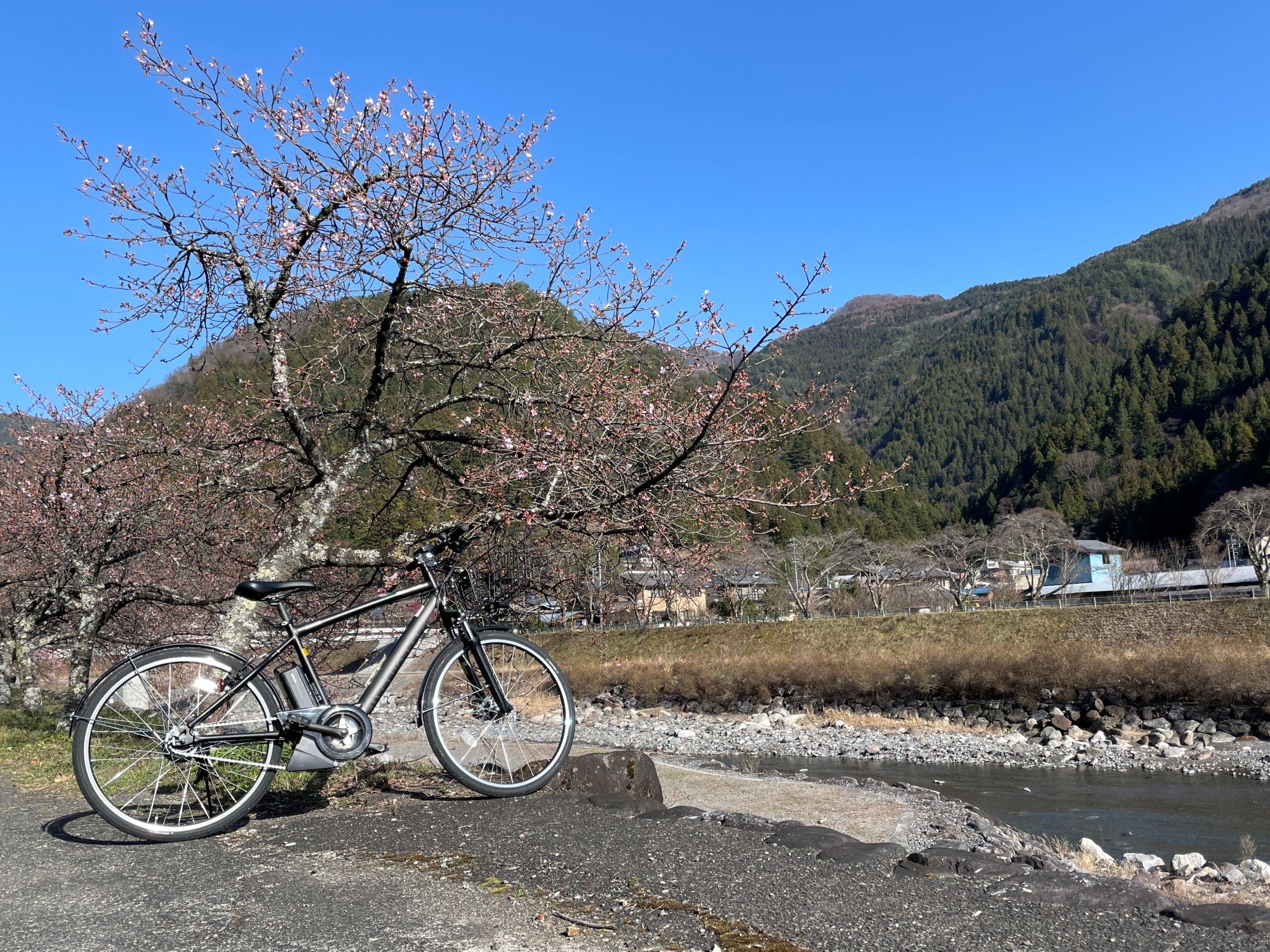 STEELS CUSTOM CYCLE 長袖 ブラック　山田レン レンタサイクル | 信州遠山郷