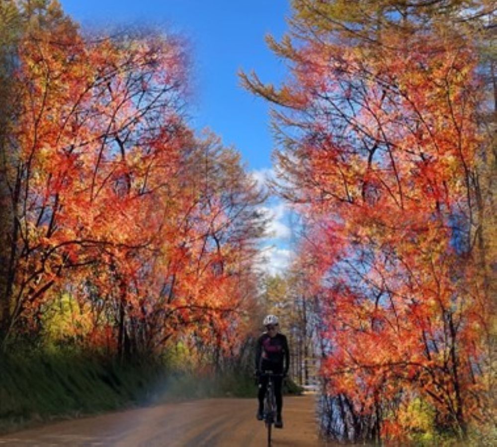 しらびそチャレンジ2025秋 開催のお知らせ(定員に達しましたので受付を