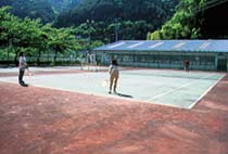島畑　テニス